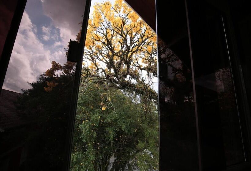 Пансион Aardvark Inn Pousada