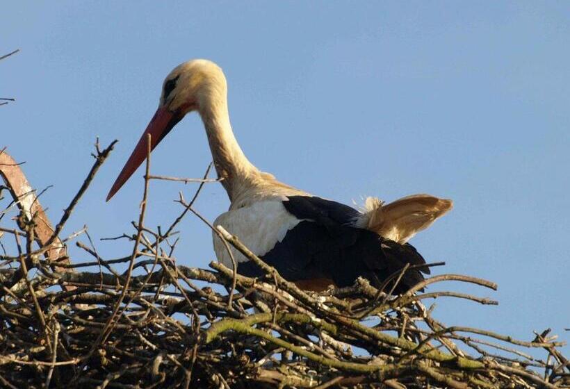 Пансион Agro Turismo Monte Da Galega