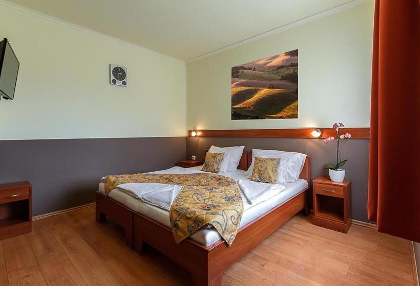 ペンション Aranypatkó Fogadó étterem