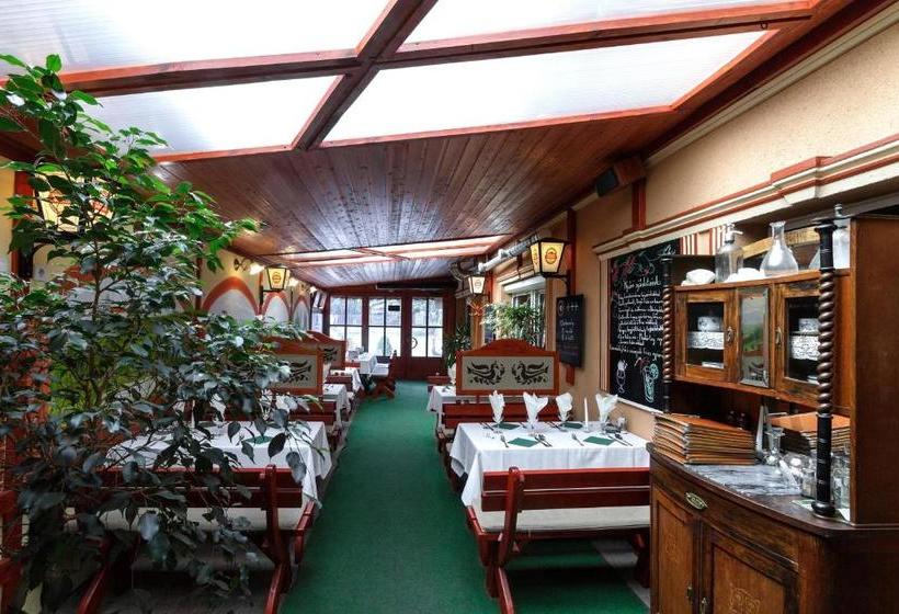 ペンション Aranypatkó Fogadó étterem