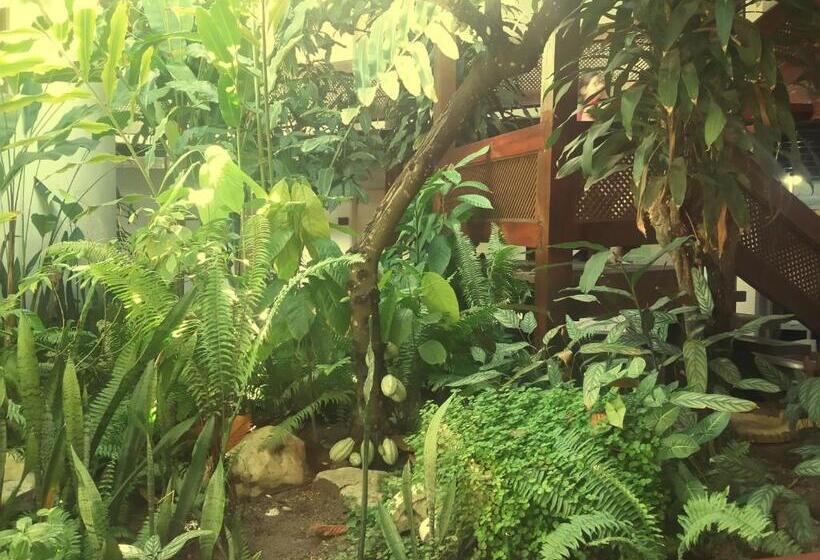 بنسيون Casa Blanca Porto Seguro