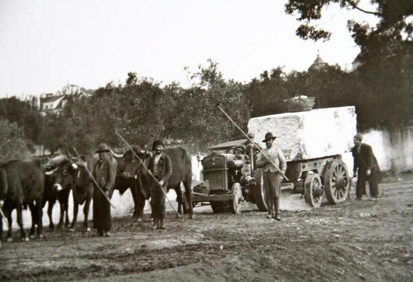 פנסיון Casa Do Colegio Velho