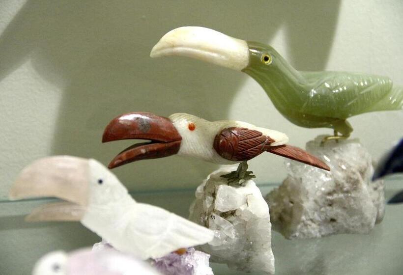 פנסיון Casa Do Colegio Velho