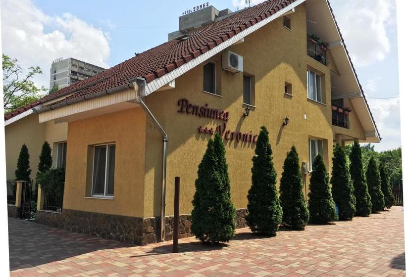 Pensiunea Veronica