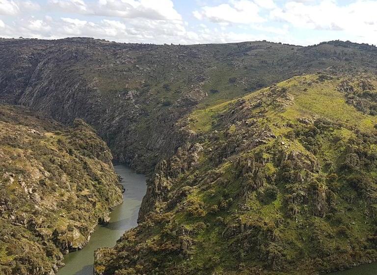 ペンション Flor Do Douro   Comércio E Hotelaria, Lda