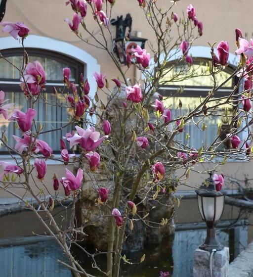 پانسیون Guesthouse Bajc