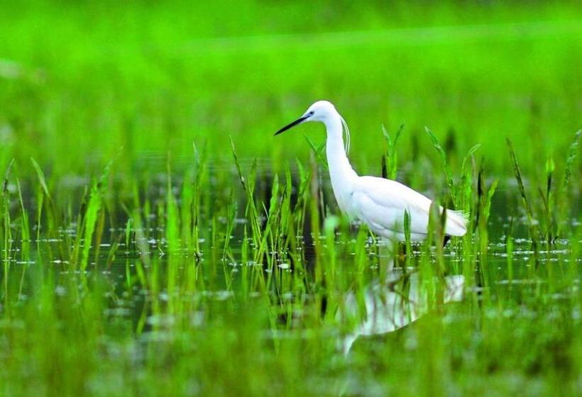 پانسیون Guesthouse Bajc