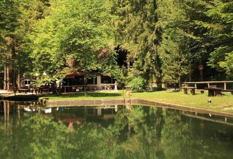 پانسیون Guesthouse Bajc