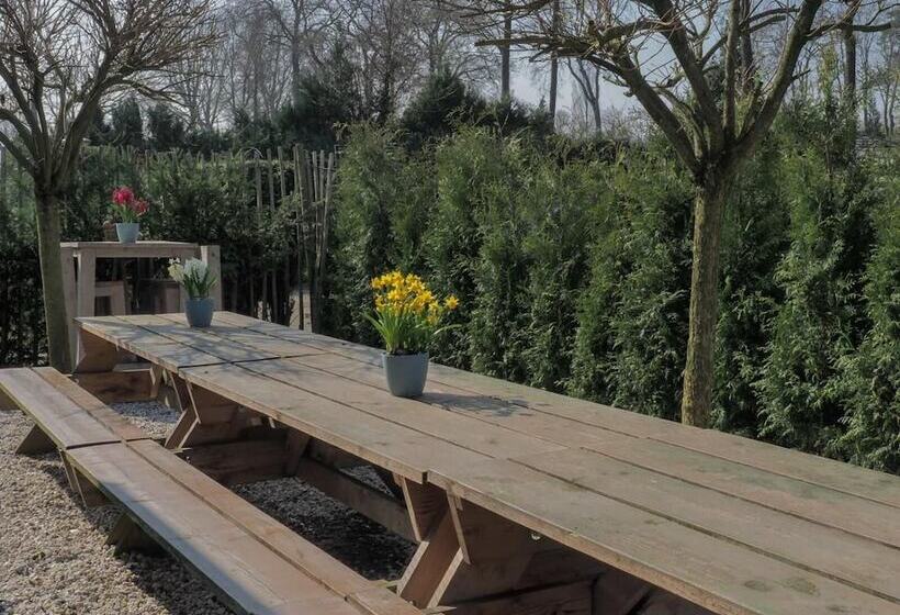 펜션 Guesthouse Lazey