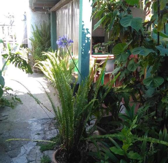 بنسيون La Casa De Teresa