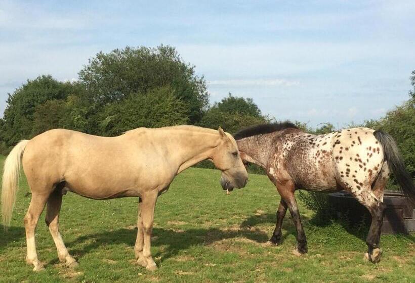 펜션 La Maison Aux Prés