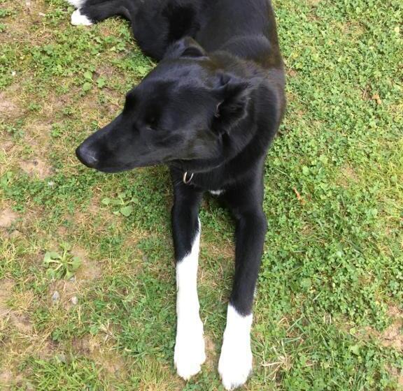 펜션 La Maison Aux Prés