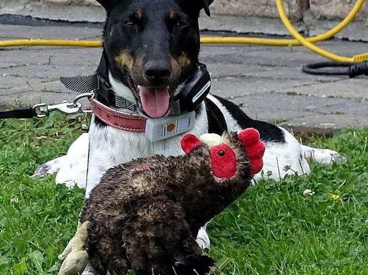 펜션 La Maison Aux Prés