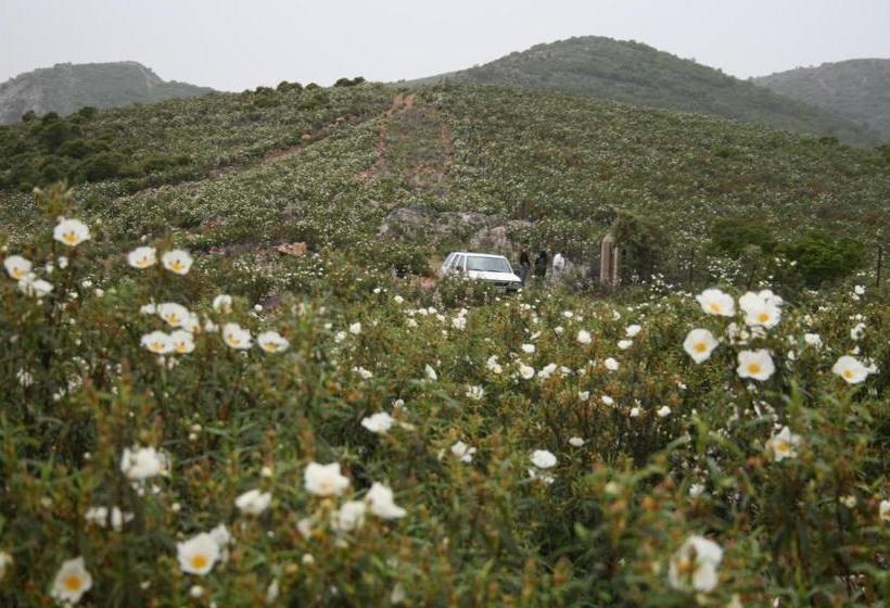 بنسيون La Posada Del Corralón