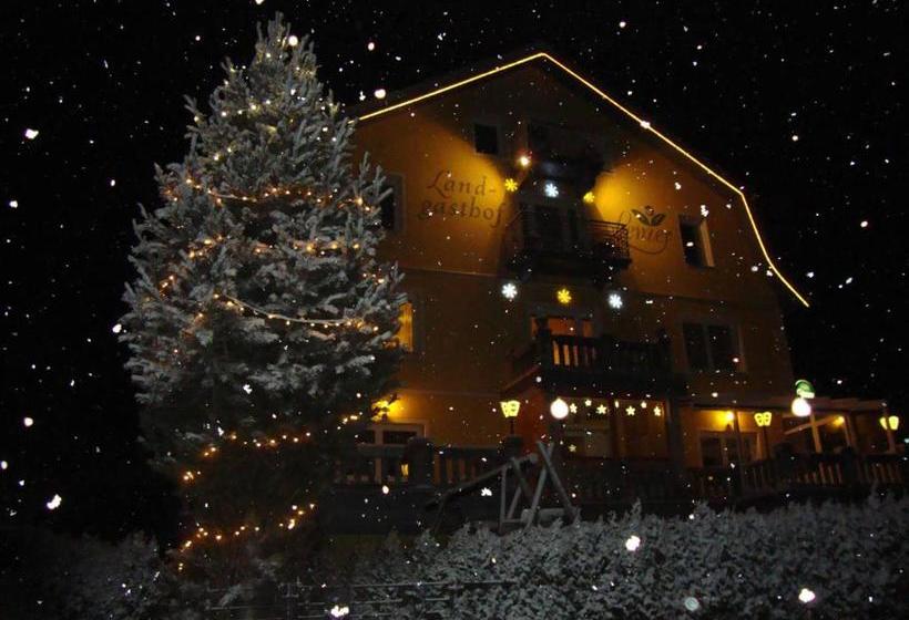 פנסיון Landgasthof Lenzer