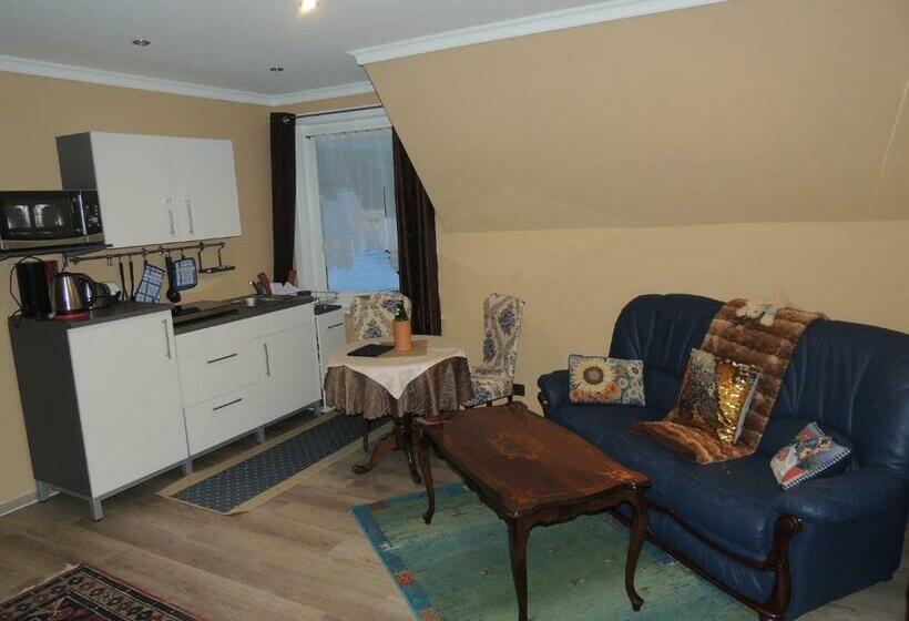 پانسیون Paul Lincke Residenz