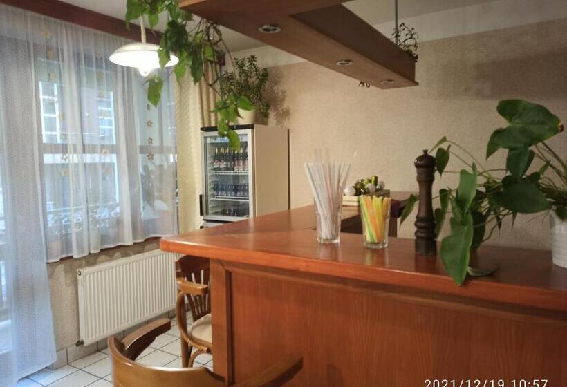 膳宿费 Penzion Stella