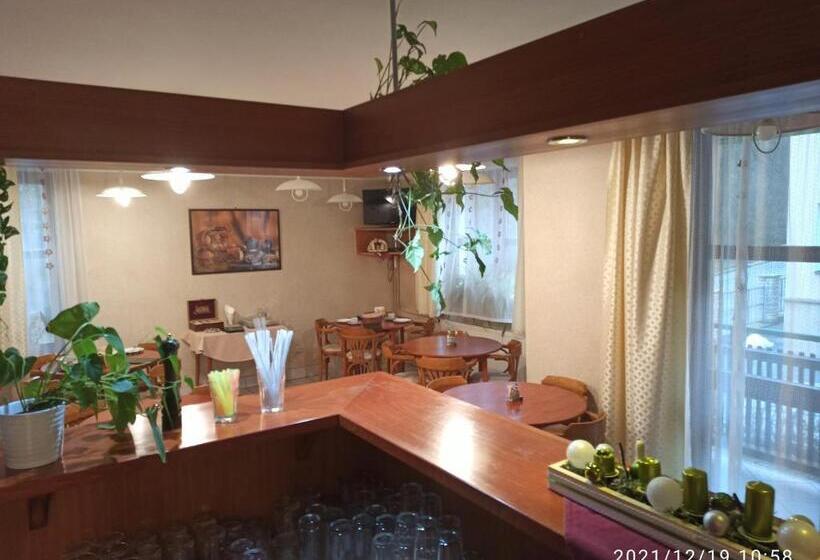 膳宿费 Penzion Stella