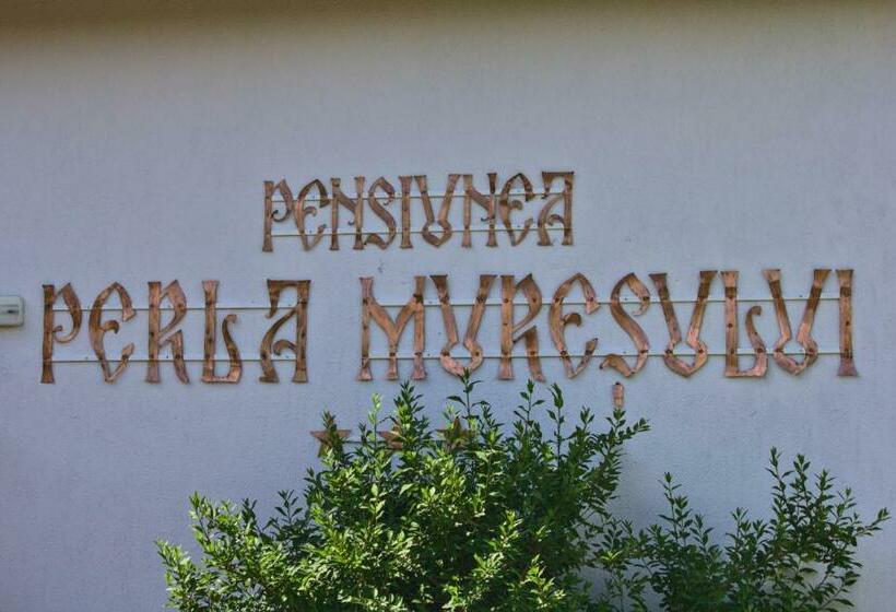 پانسیون Perla Muresului