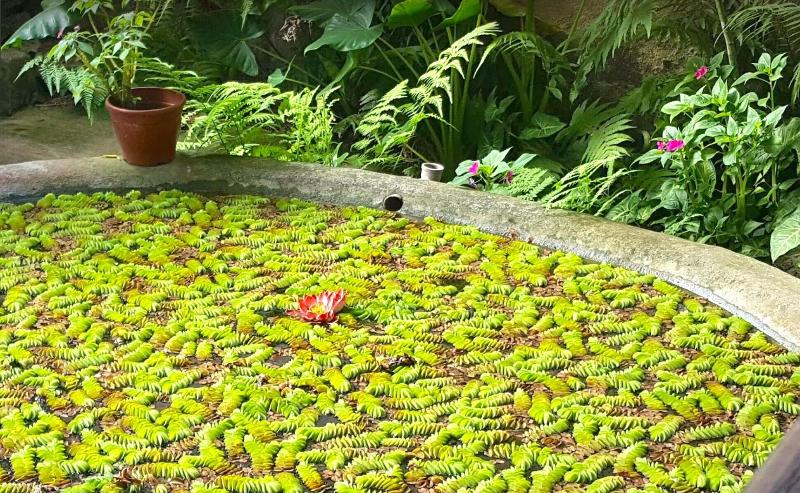 펜션 Pousada Atiaia