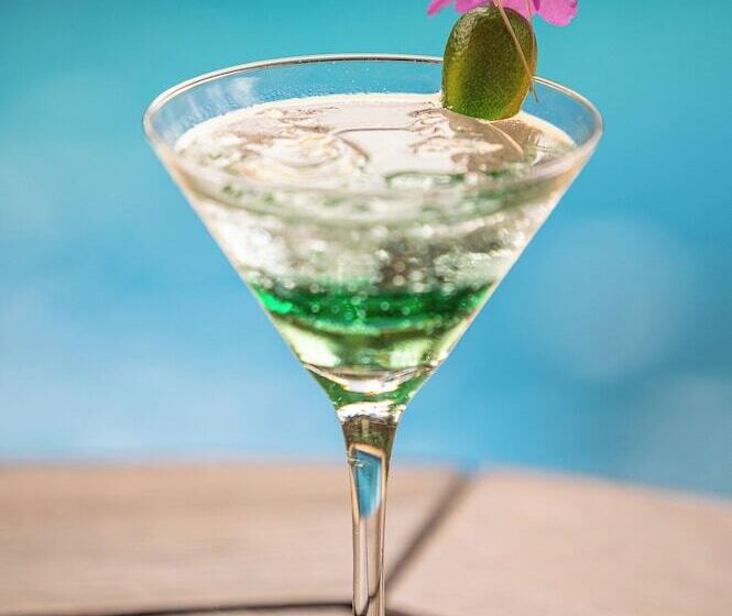 펜션 Pousada Atiaia