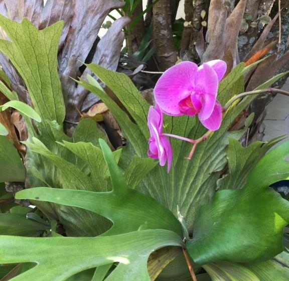 펜션 Pousada Catavento