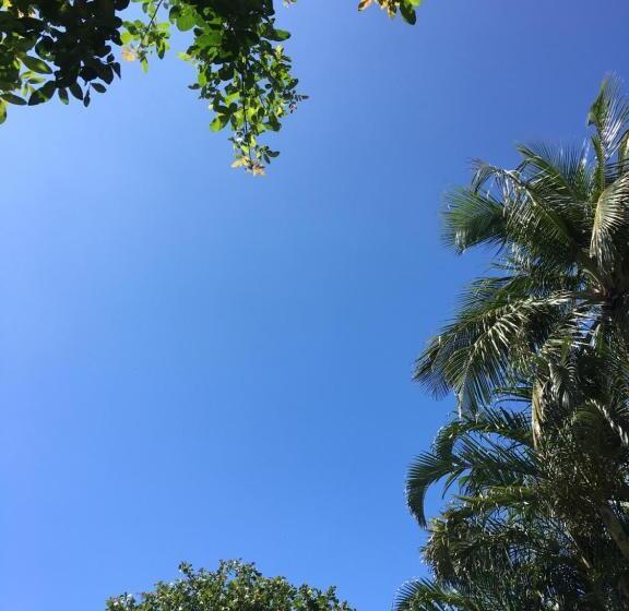 膳宿费 Pousada Catavento