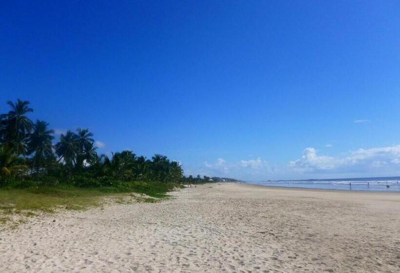 פנסיון Pousada Dos Hibiscus