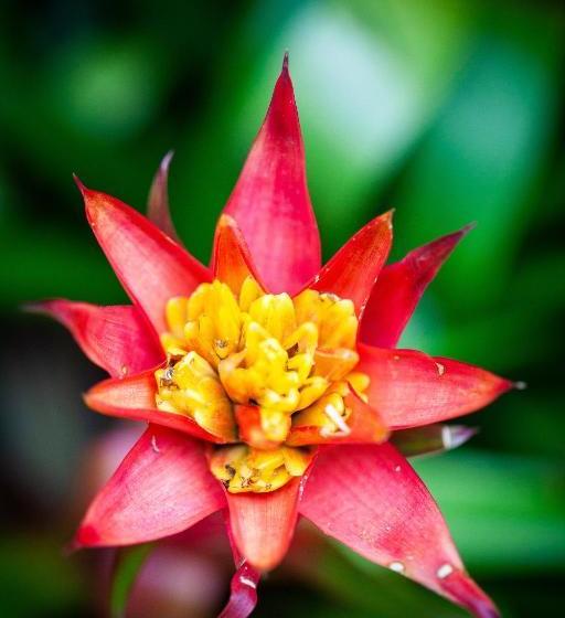 膳宿费 Pousada Naturalia