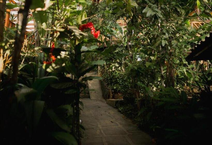 膳宿费 Pousada Naturalia