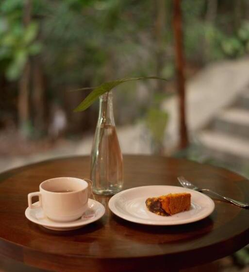 膳宿费 Pousada Naturalia