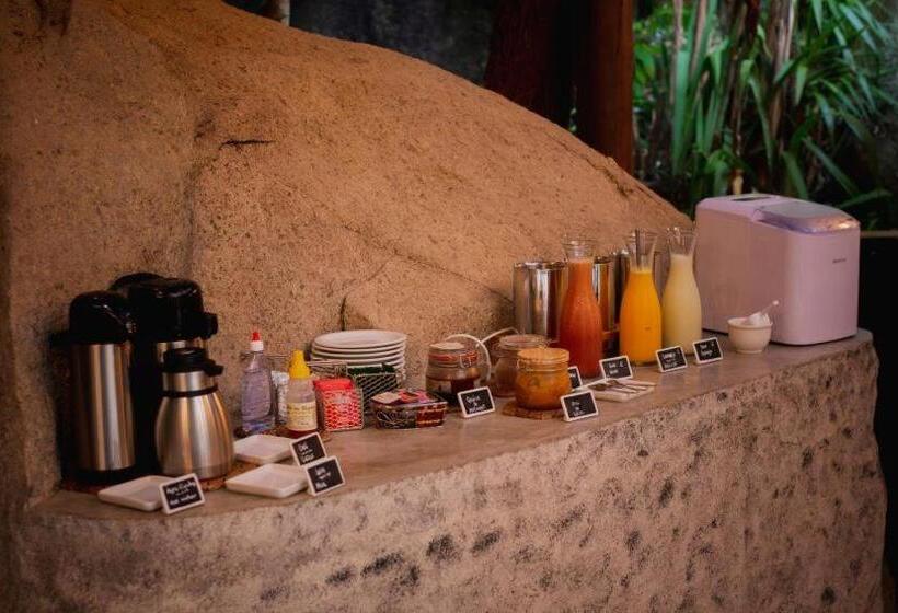 膳宿费 Pousada Naturalia