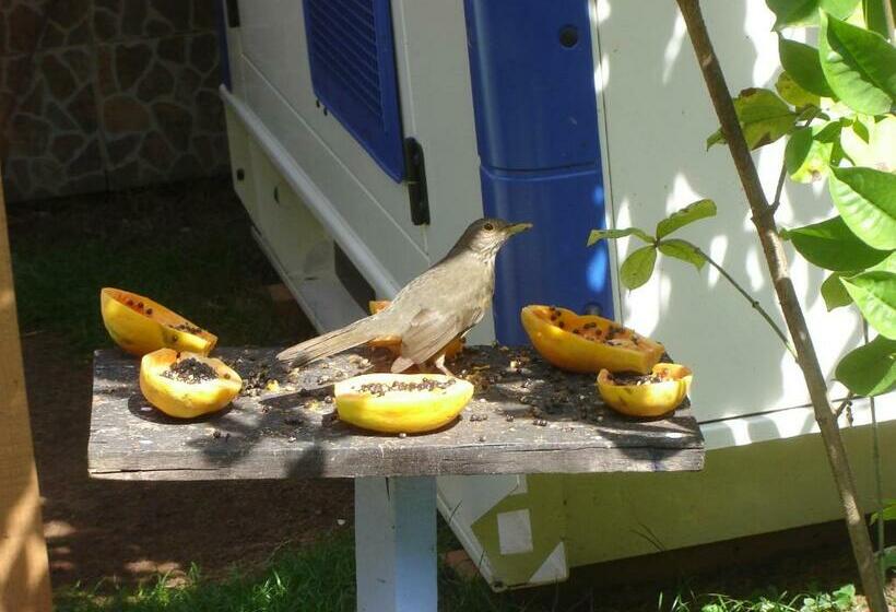 펜션 Pousada Pedacinho De Céu