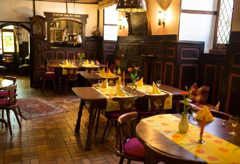 膳宿费 Reichsschenke Zum Ritter Götz Garni