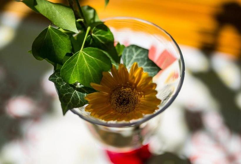 펜션 Reichsschenke Zum Ritter Götz Garni