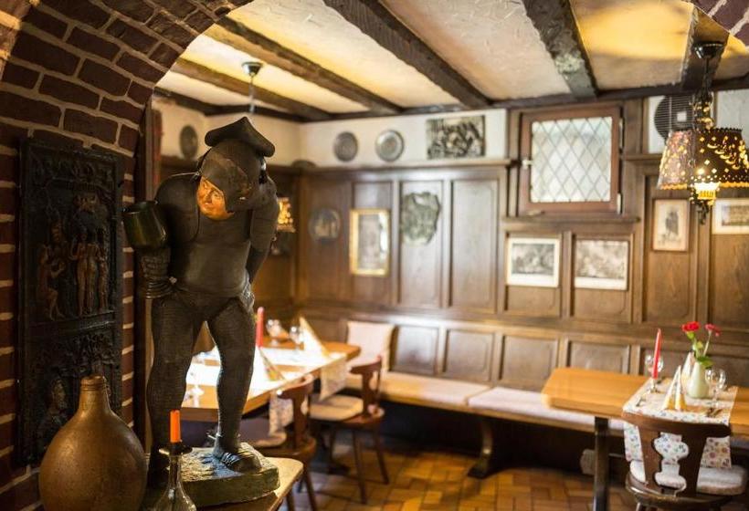 펜션 Reichsschenke Zum Ritter Götz Garni