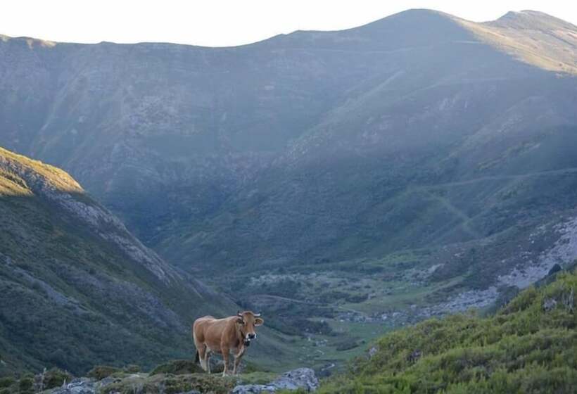 פנסיון Núcleo De Turismo Rural La Corte