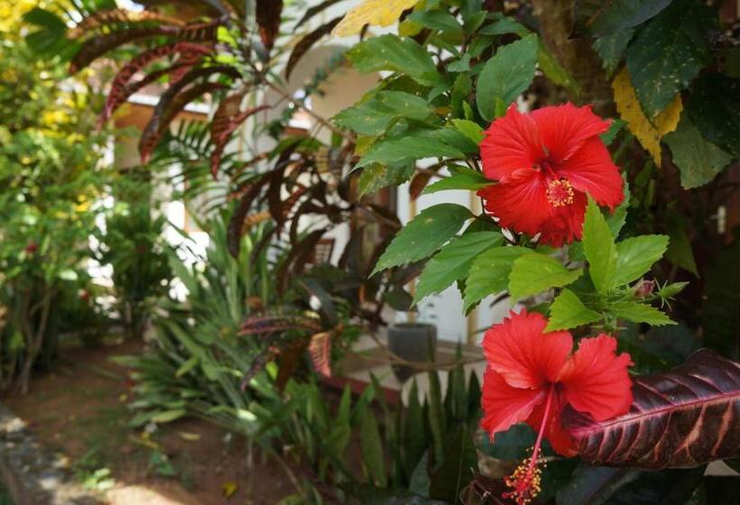 Пансион Tandem Guesthouse