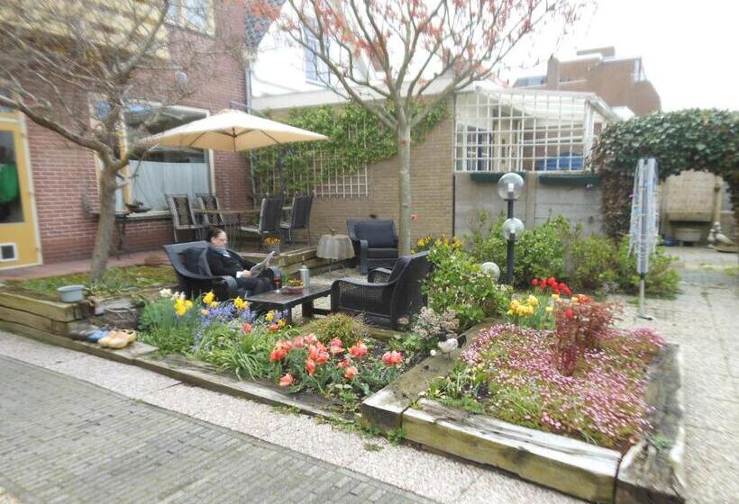 Pension De Zeeschelp