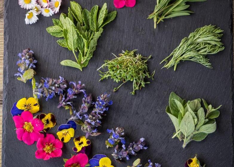 Restaurant   Café   Pension Hassler