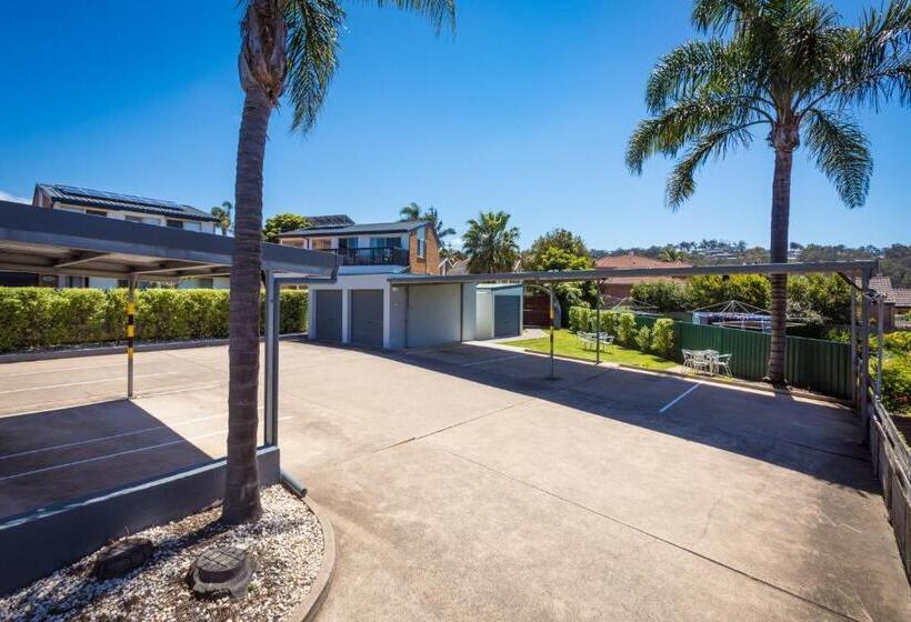 The Palms Apartments