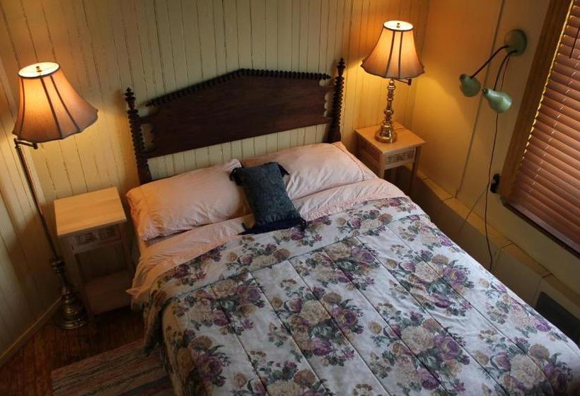 ユースホステル Auberge Du Café Chez Sam