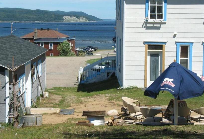 ユースホステル Auberge Du Café Chez Sam