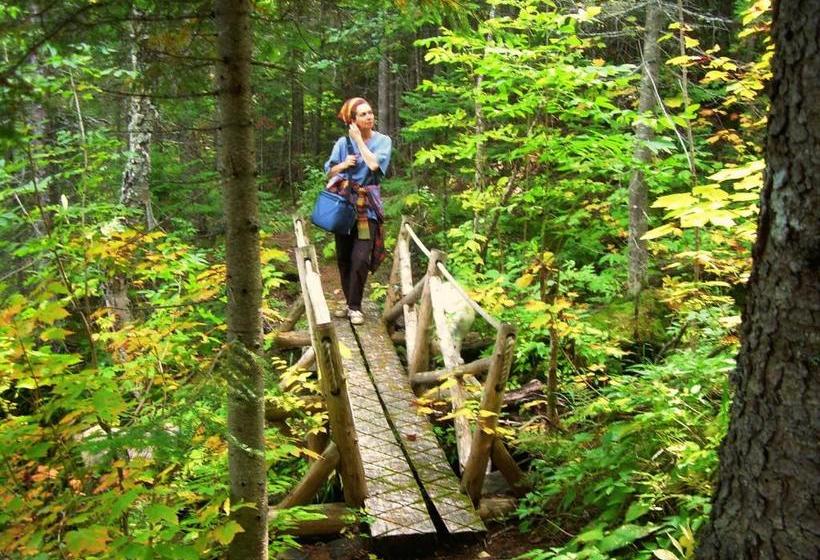 ユースホステル Auberge Du Café Chez Sam