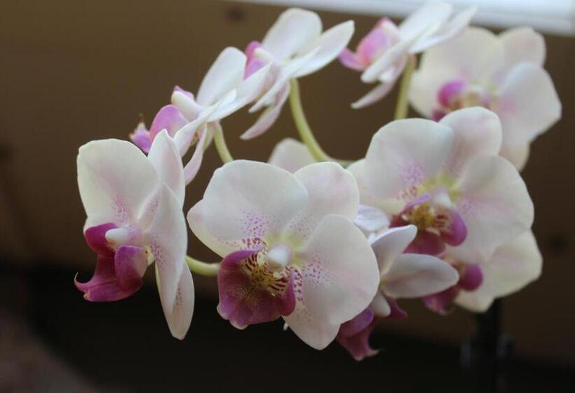 ユースホステル Landgasthof Grossteil