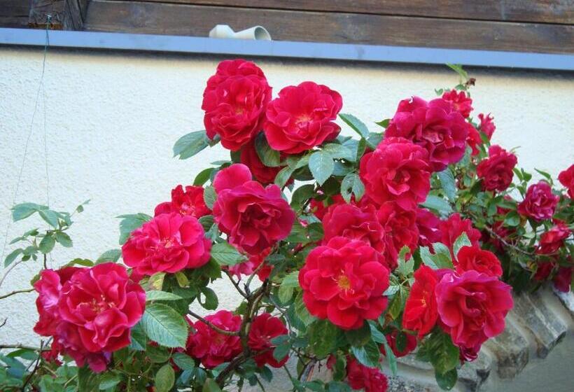 הוסטל Restaurant Alpenblick