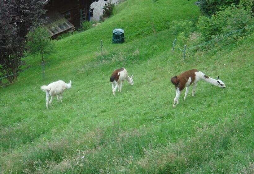 Apartments Seeblick Mit Anbindung An Ein 4 Sterne