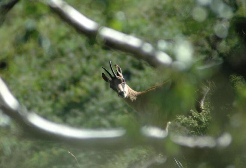 Appart Le Chili  Quartier Thermal  Lit Fait