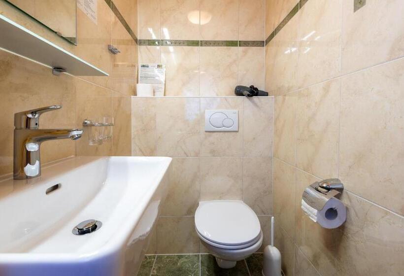 住宿加早餐 Energiepension Schwaiger