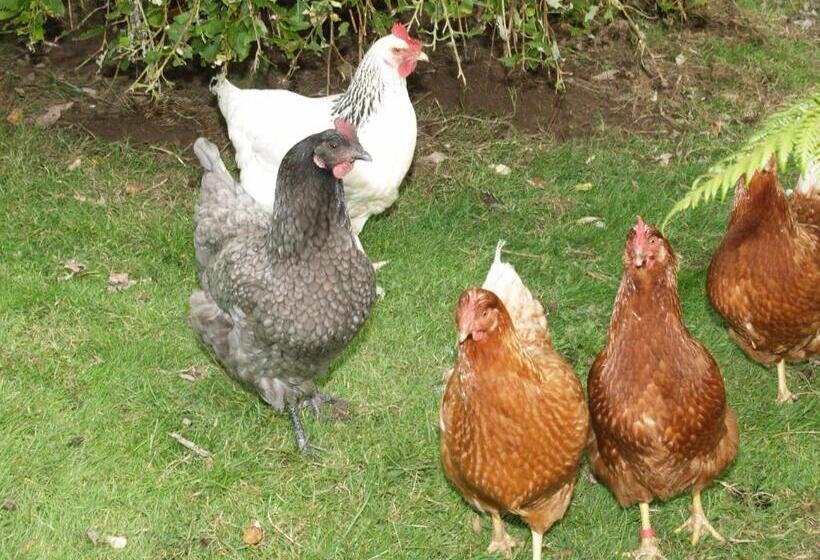 住宿加早餐 Killurin Lodge